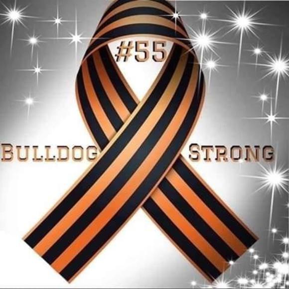 Meet your Posher, Phillip - Picture 1 of 1